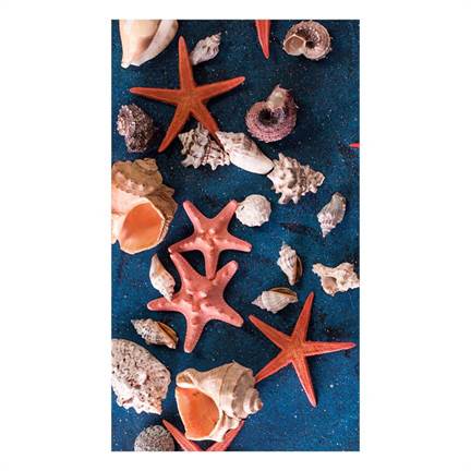 Good Morning Sea Star strandlaken