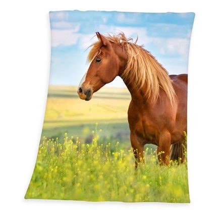 Horse plaid