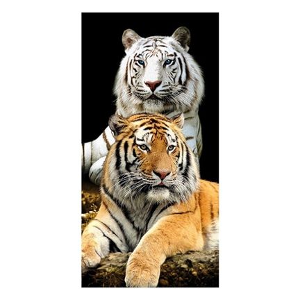 Two tiger strandlaken