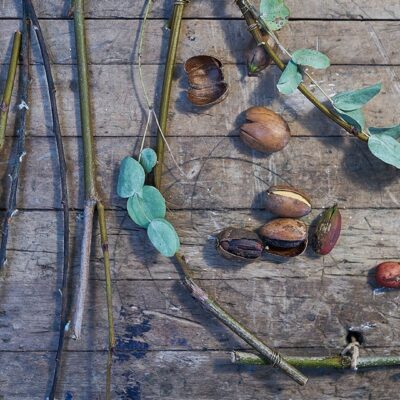 De kleuren van de herfst