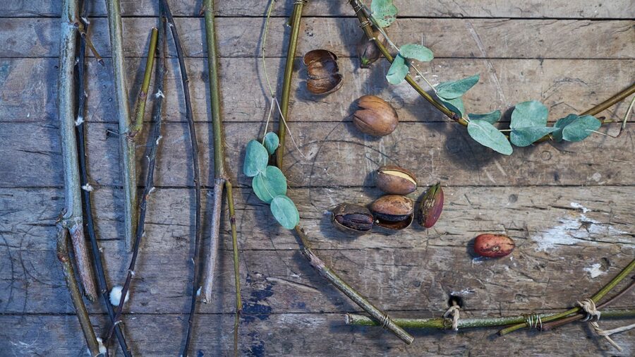 De kleuren van de herfst