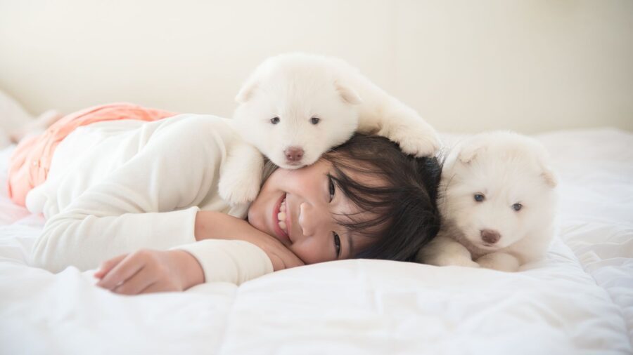 Beregezellig, niet alleen op dierendag!