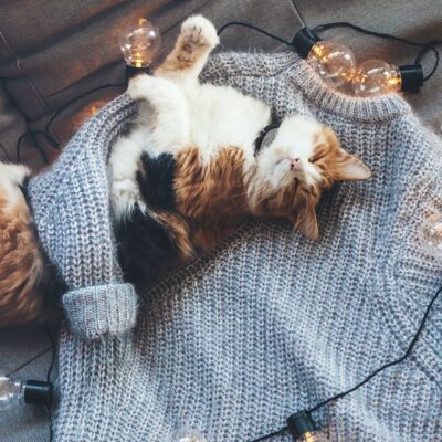 Hygge: warm als een winterse trui