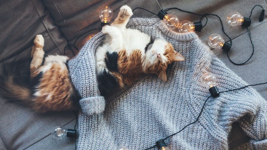 Hygge: warm als een winterse trui