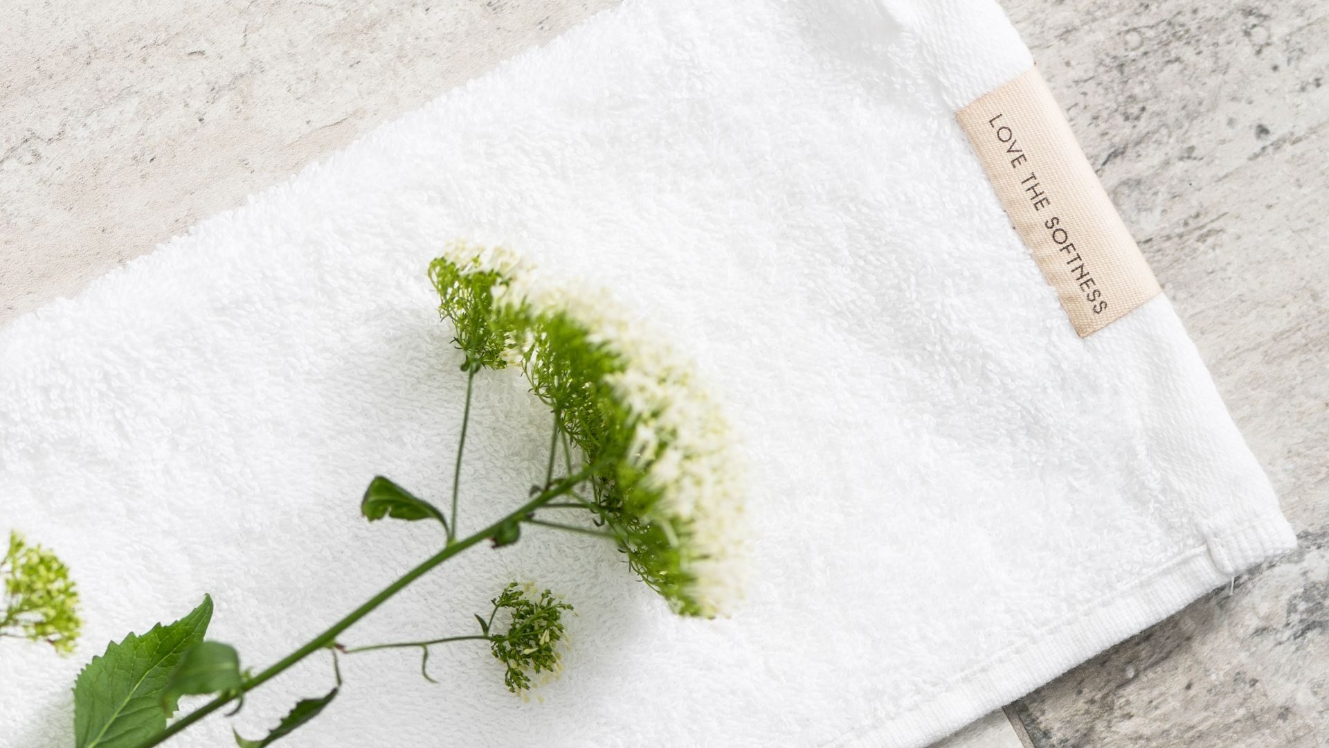 Walra Soft Cotton gastendoekje - wit