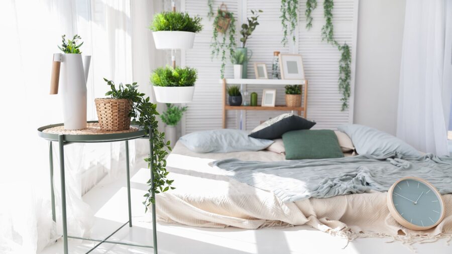 Deze 10 slaapkamerplanten helpen je beter te slapen