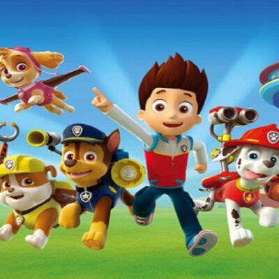 De nieuwste Paw Patrol dekbedovertrekken en strandlakens!