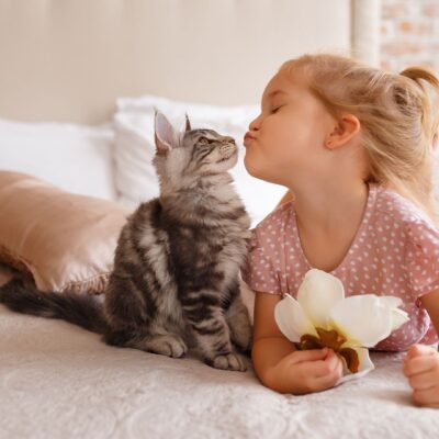 Vandaag is het dierendag! Hier vind je de tofste dekbedovertrekken met dieren