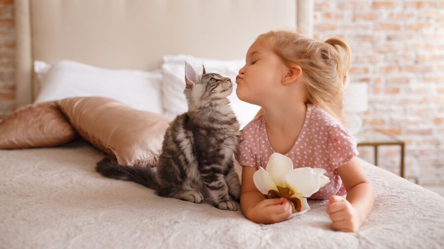 Vandaag is het dierendag! Hier vind je de tofste dekbedovertrekken met dieren