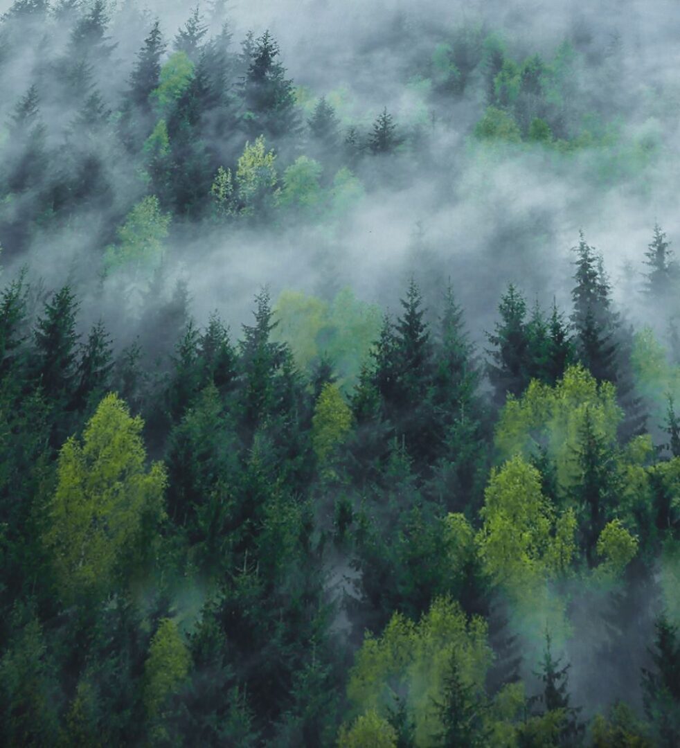 Ambiante Moltas dekbedovertrek - Dromen over de ultieme roadtrip