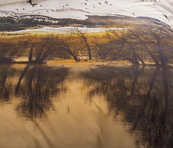 Beddinghouse Wintery Lake dekbedovertrek - Dromen over de ultieme roadtrip