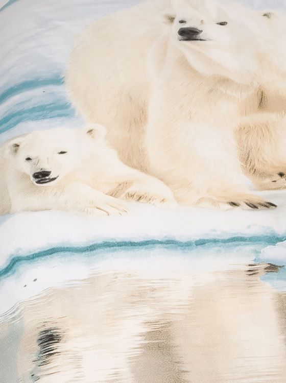 Day Dream Ice Bear dekbedovertrek - Dromen over de ultieme roadtrip