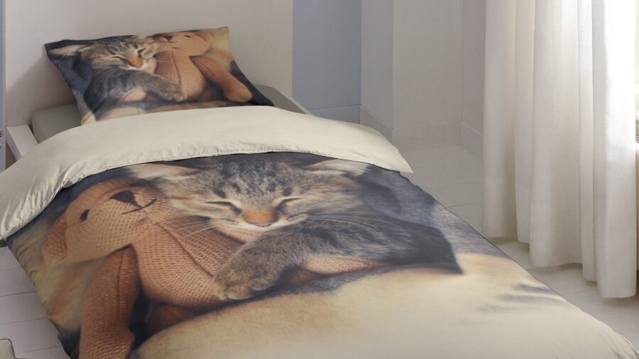 World Cat Day: de 9 leukste poezen overtrekken