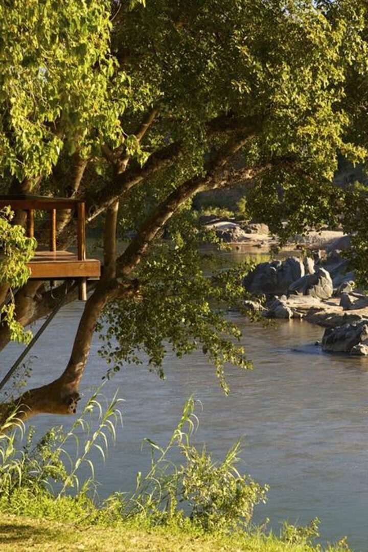 Safari Bushriver Lodge 3