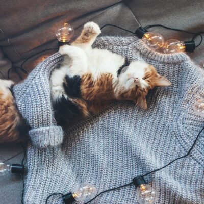 Warm en knus in de slaapkamer met een breipatroon dekbedovertrek