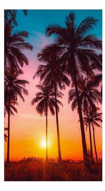 Good Morning Bora Bora strandlaken