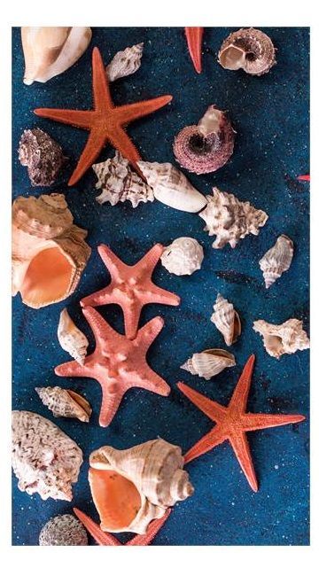 Good Morning Sea Star strandlaken