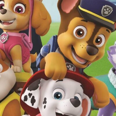 Leuk voor de kids: Paw Patrol