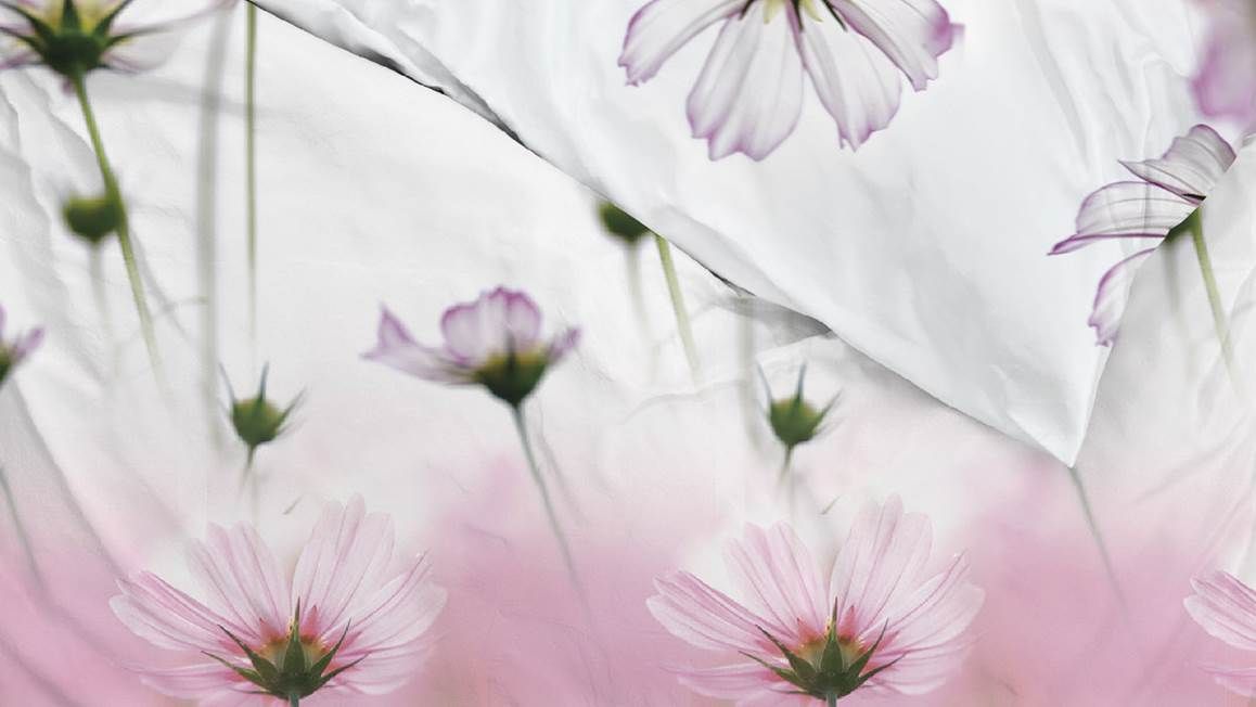 Viola dekbedovertrek