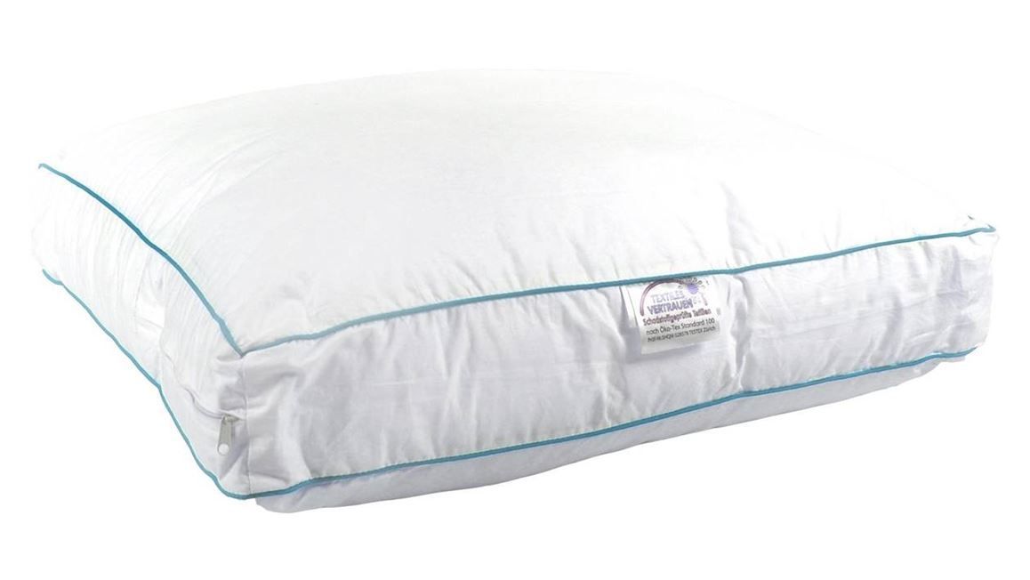 Snoozing Norway hoofdkussen