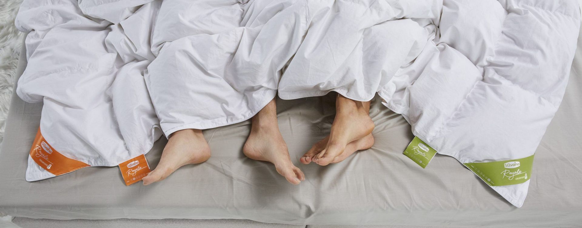 Silvana Royale Colortemp dekbedden