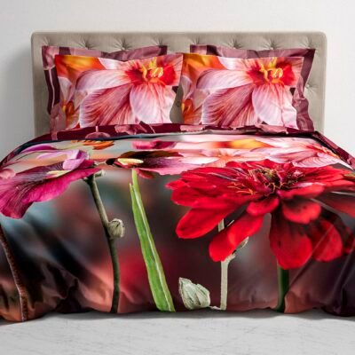 De nieuwe najaarscollectie van Heckettlane