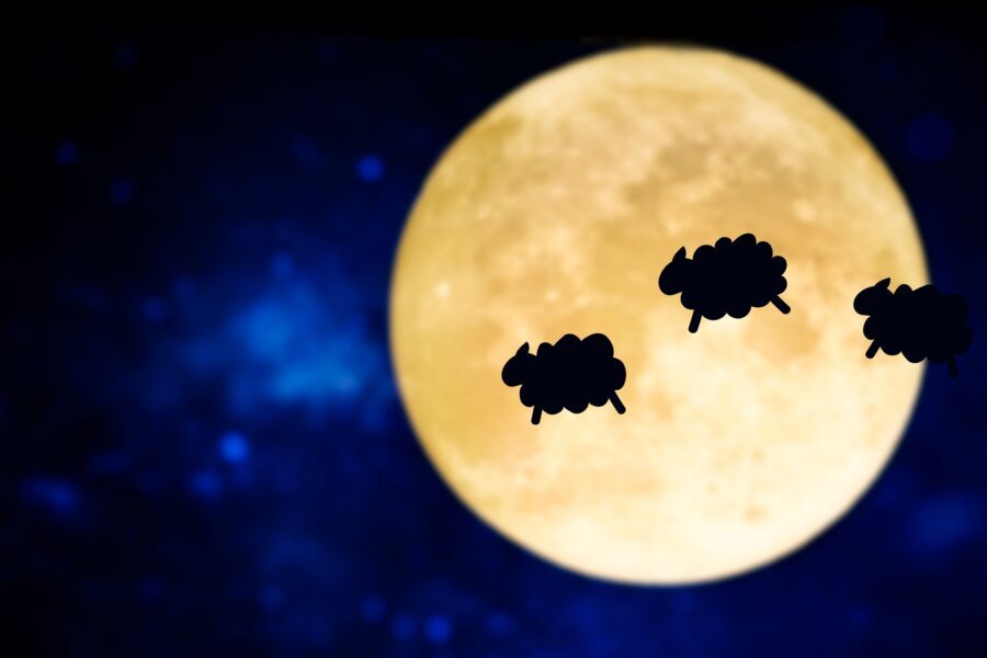 Nooit meer schaapjes tellen met het wollen beddengoed van Tesselaer