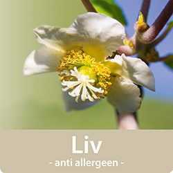 Label Polydaun Liv dekbed- en kussenserie