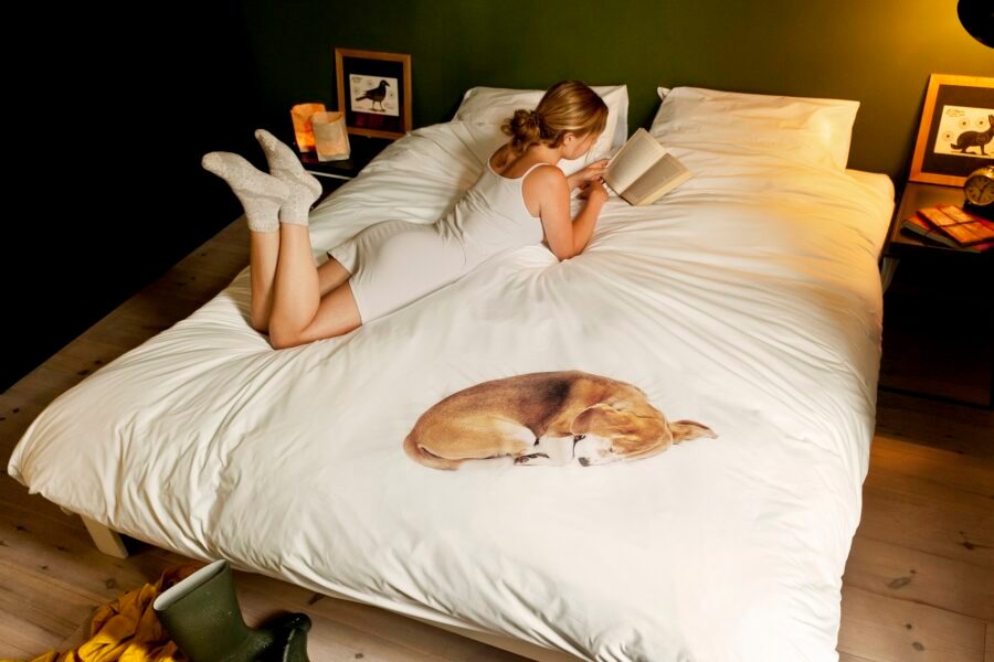 Internationale Puppydag: de allerliefste puppy’s op je bed