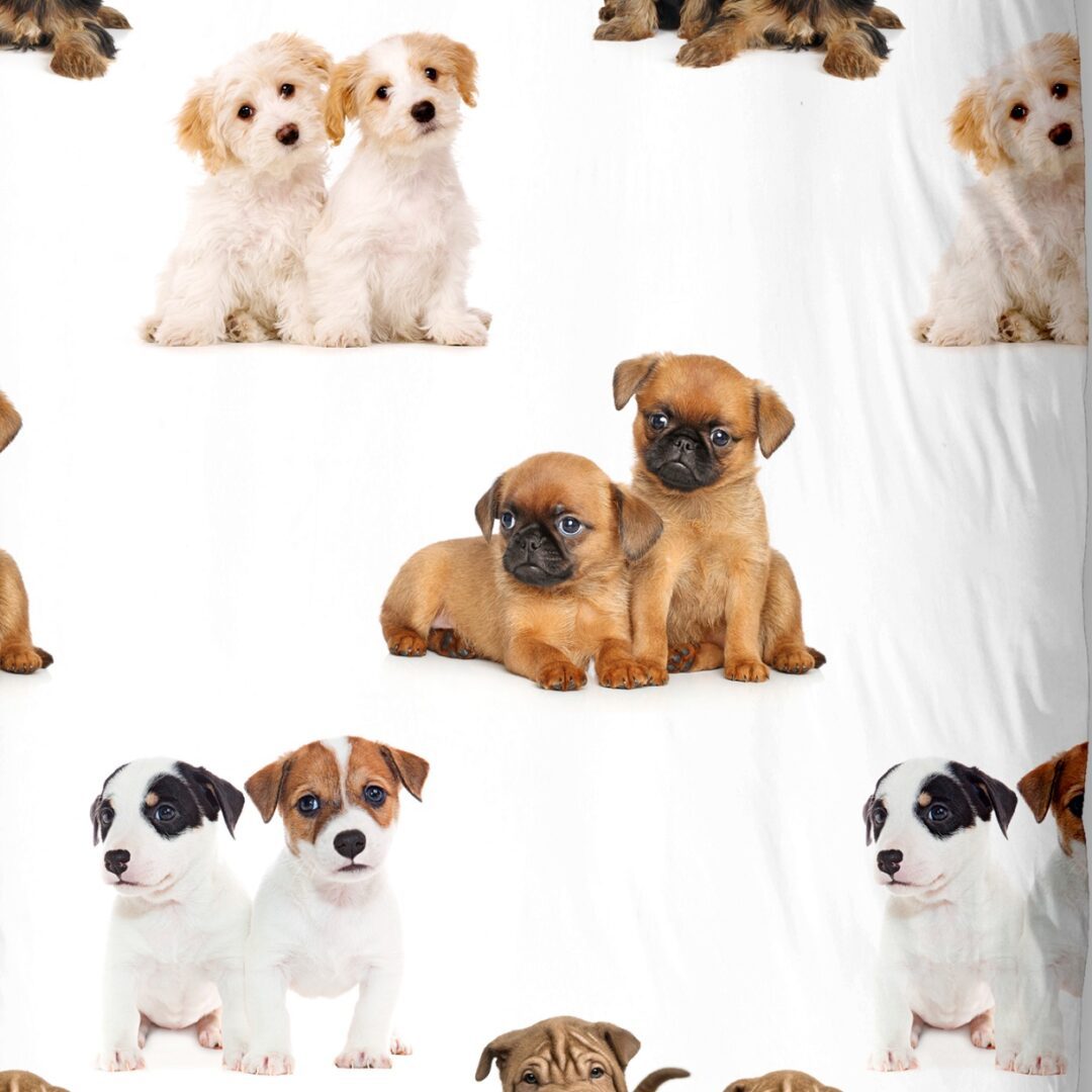 Puppies dekbedovertrek Snoozing