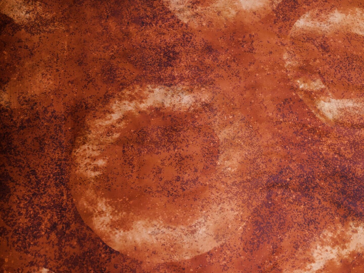 Ilori dekbedovertrek