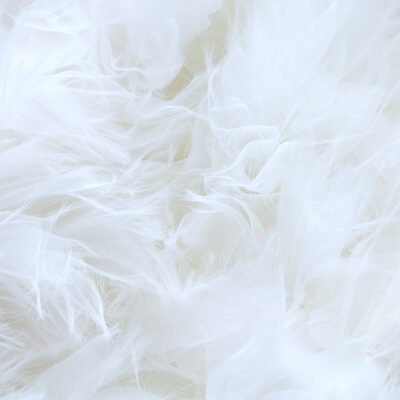 Hoofdkussens van gerecycled dons: op naar Zero Waste!