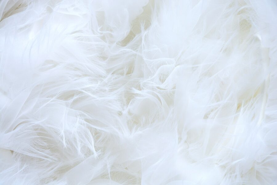 Hoofdkussens van gerecycled dons: op naar Zero Waste!