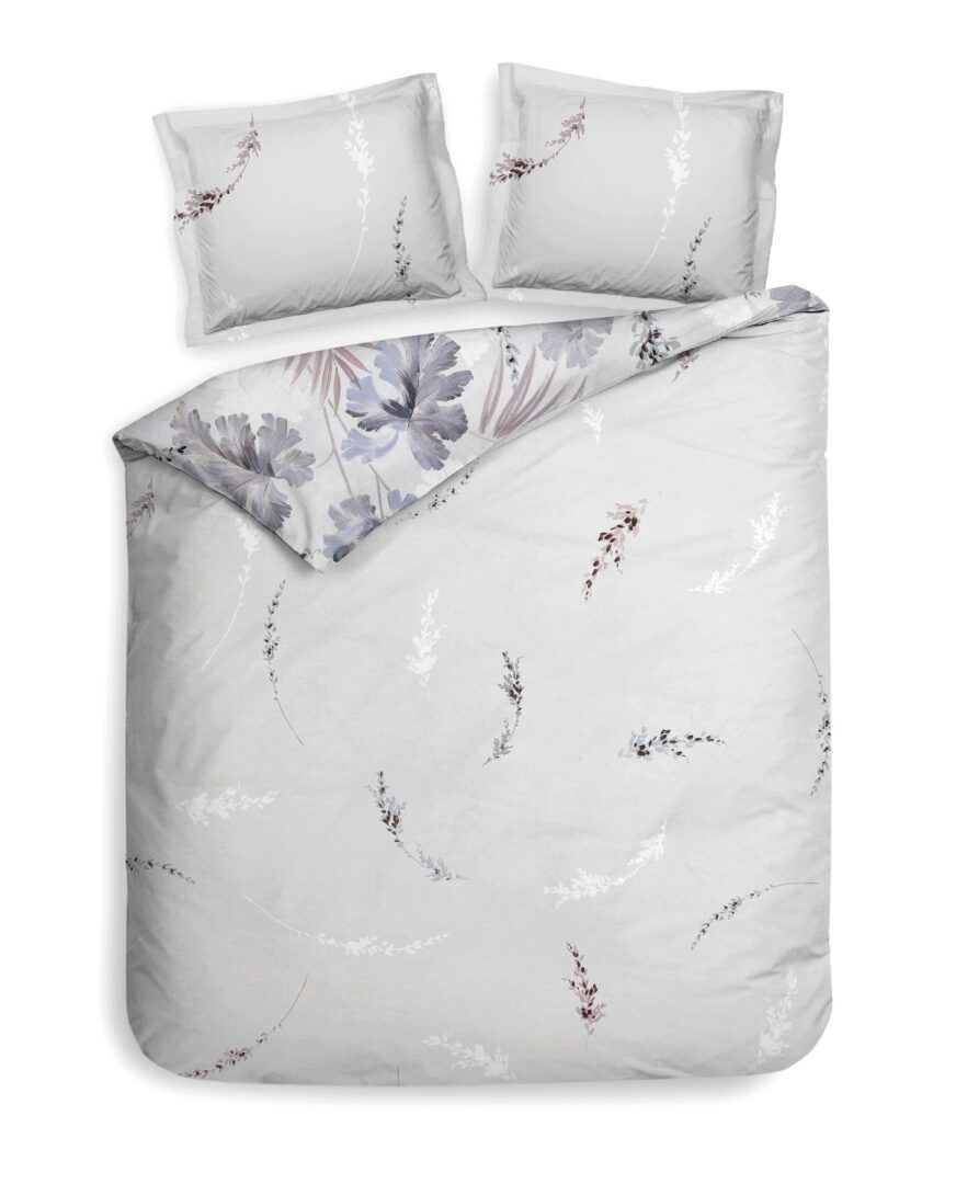 Downetti achterzijde