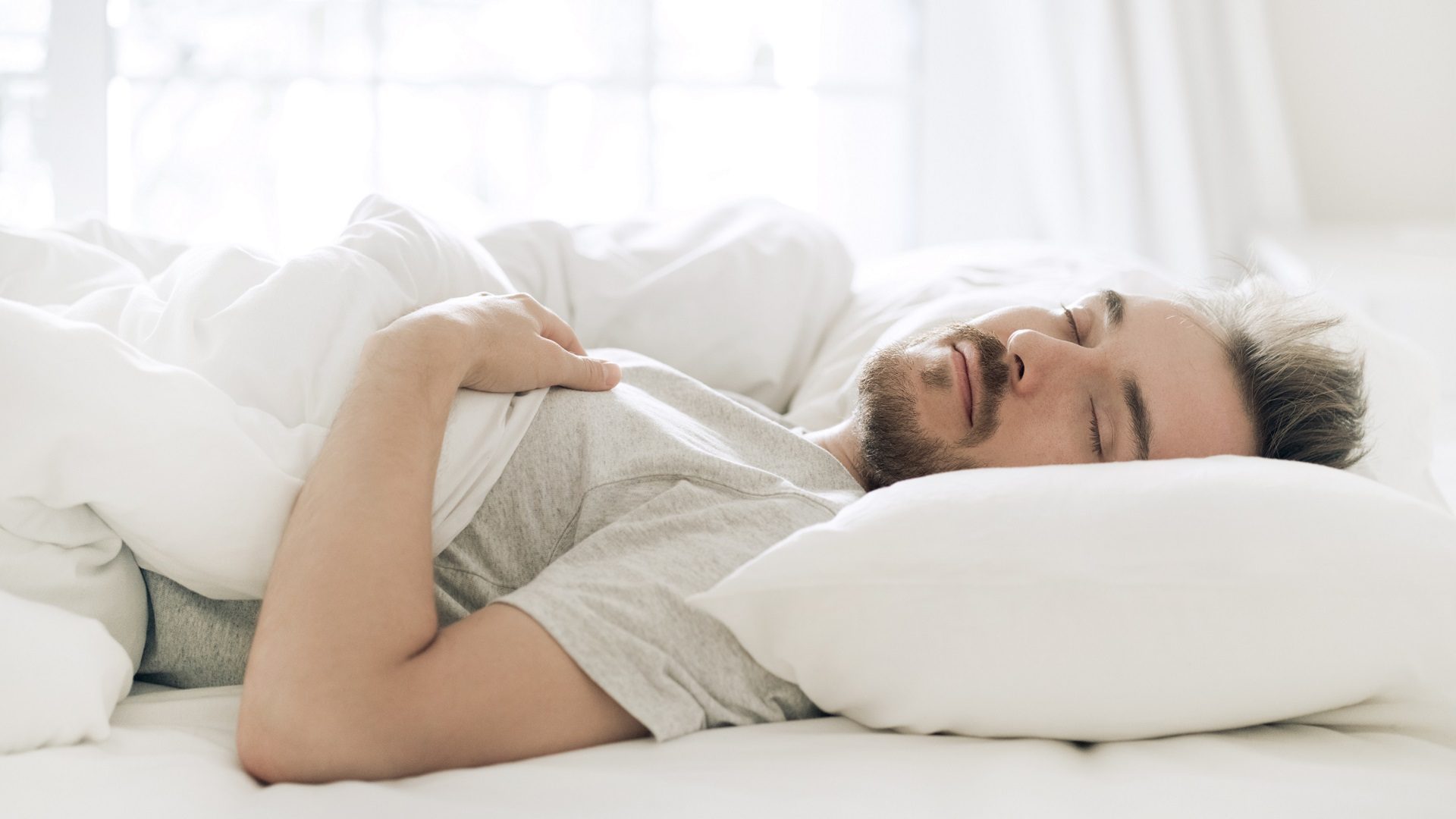 Polydaun hoofdkussens