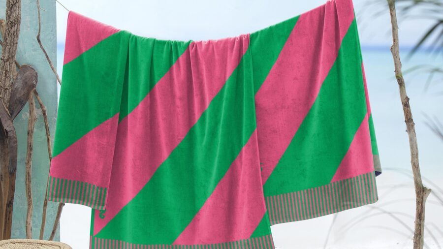 De perfecte stranddag met een Seahorse strandlaken