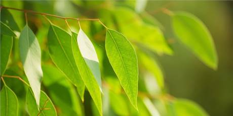 Tencel: alle feiten op een rij