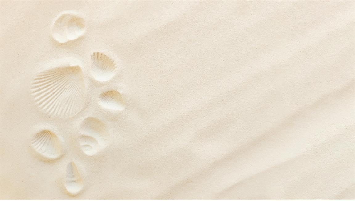 The Beachtowel strandlakens
