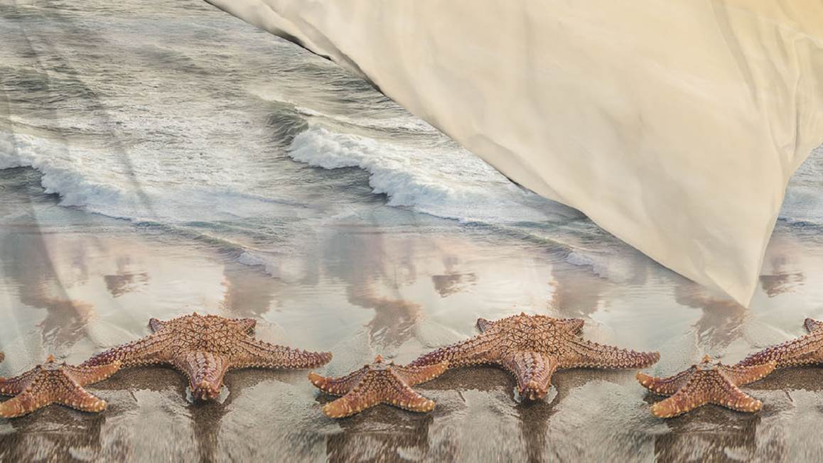 Zohome Arnau dekbedovertrek