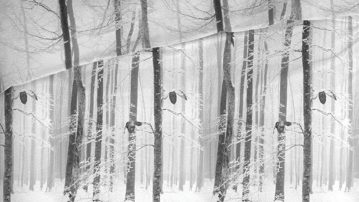 Romanette Winterwood flanel dekbedovertrek