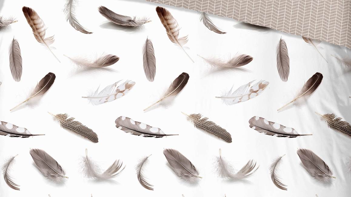 Good Morning Feathers flanel dekbedovertrek