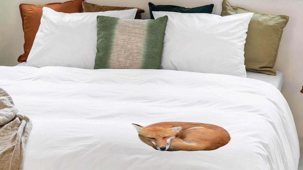 Inspiratie Scheiden opblijven SNURK Sleeping Fox flanel dekbedovertrek - Wit - Smulderstextiel.be