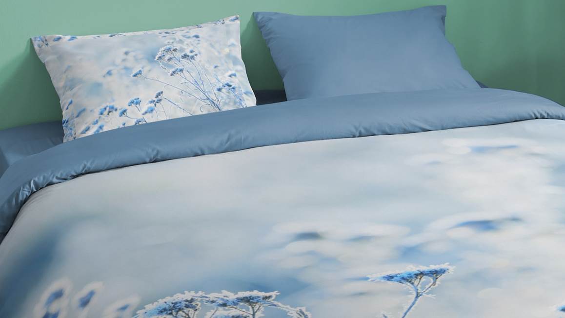 Trend Rauw Bekwaamheid Good Morning Frozen dekbedovertrek - Blue - Smulderstextiel.be