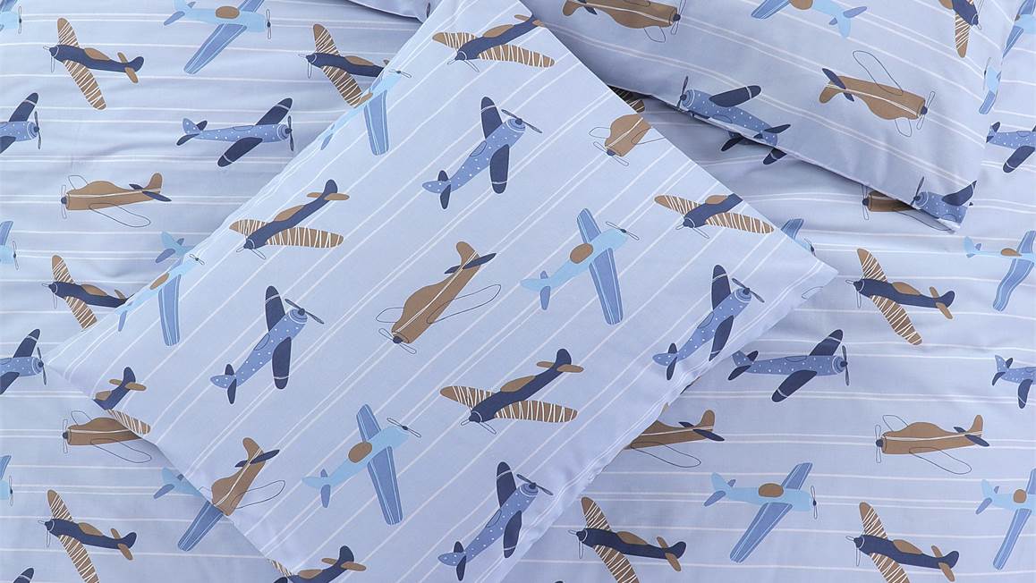 Day Dream Planes dekbedovertrek