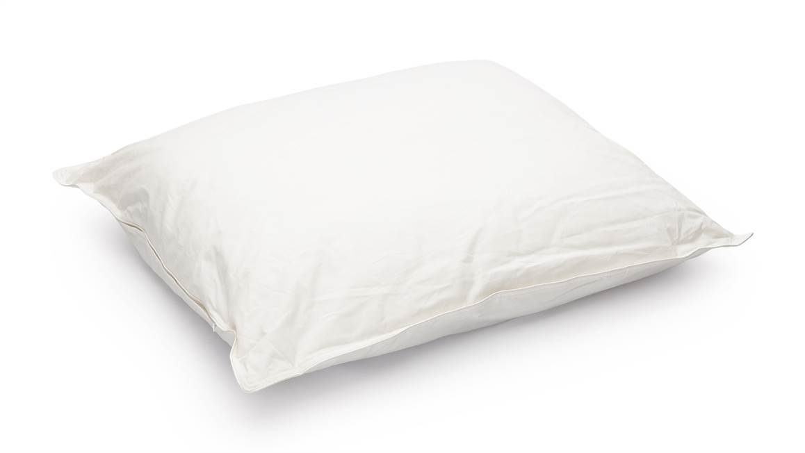 Snoozing Texelite wollen medium hoofdkussen