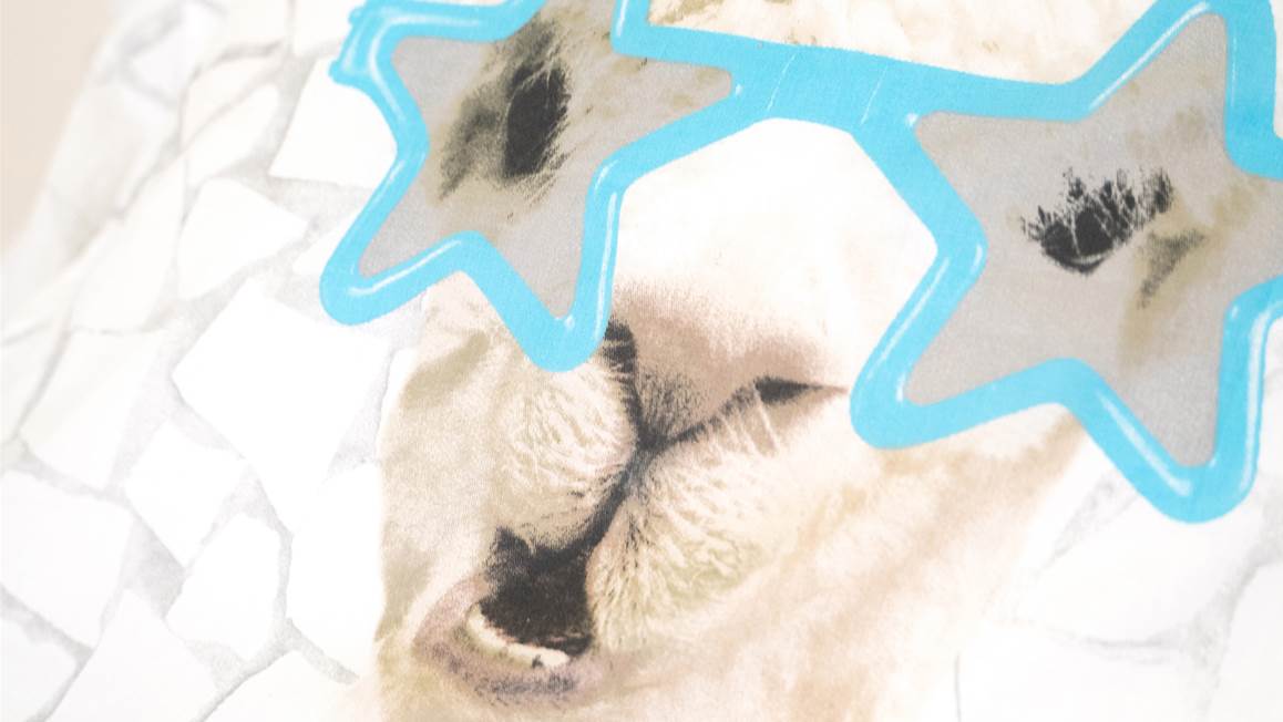 Little Monster No Drama Llama dekbedovertrek