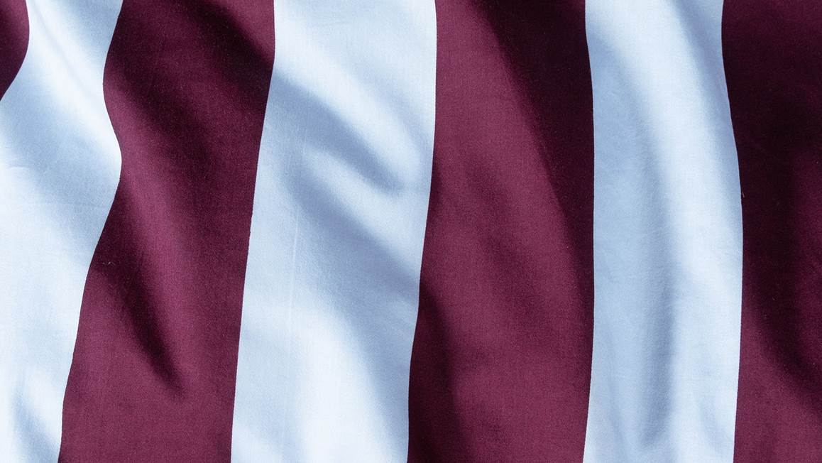 Essenza Minte Stripe dekbedovertrek