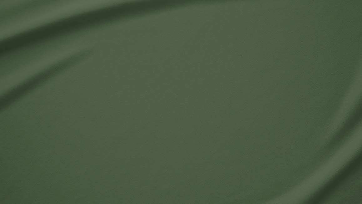 Snoozing katoen kussenslopen (set van 2)