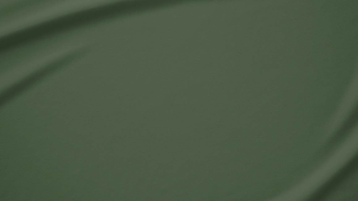 Snoozing katoen-satijn kussenslopen (set van 2)