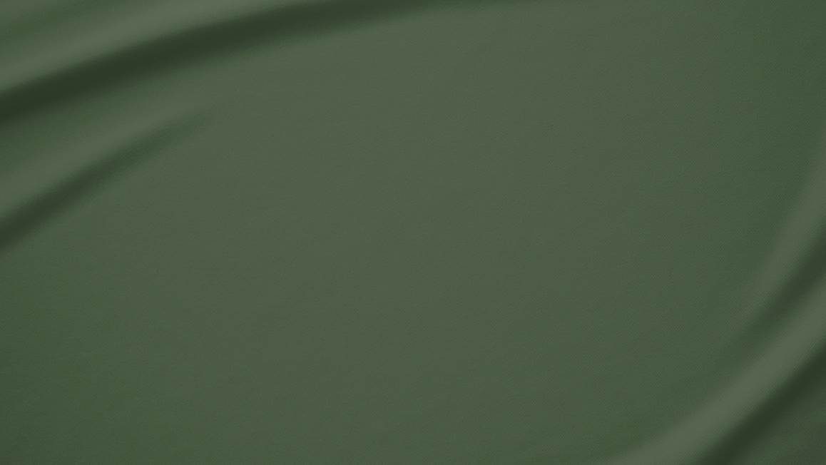 Snoozing percale katoen kussenslopen (set van 2)